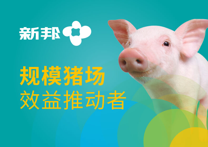 新邦生物科技品牌設(shè)計